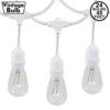 24 Clear S14 Commercial Grade Suspended Light String Set On 48' Of White Wire
