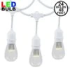 24 LED Warm White S14 Commercial Grade Suspended Light String Set On 48' Of White Wire
