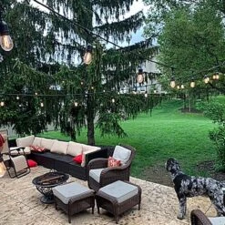 Warm White S14 LED Plastic Filament Medium Base E26 Bulbs - 25pk -Christmas Lights Series 0026288 warm white s14 led plastic filament medium base e26 bulbs 25pk