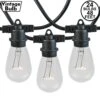 24 Clear S14 Commercial Grade Light String Set On 48' Of Black Wire