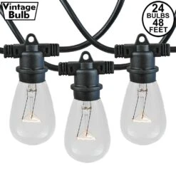 24 Clear S14 Commercial Grade Light String Set On 48' Of Black Wire