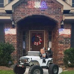 22" American Flag LED Rope Light Motif -Christmas Lights Series 0026528 22 american flag led rope light motif