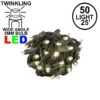 Twinkle LED Christmas Lights 50 LED Warm White 25' Brown Wire