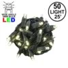 Commercial Grade Wide Angle 50 LED Warm White 25' Long On Black Wire