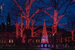 Twinkly Pro RGB Capsule Single Line 250 LED With 4" Spacing On Transparent Wire 11 Twinkly Pro RGB Capsule Single Line 250 LED With 4" Spacing On Transparent Wire -Christmas Lights Series 0027475 twinkly pro rgb capsule single line 250 led with 4 spacing on transparent wire