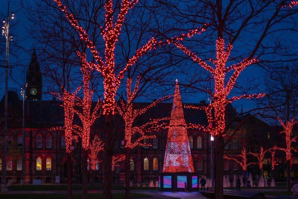 Twinkly Pro RGB Capsule Single Line 250 LED With 4" Spacing On Transparent Wire 5 Twinkly Pro RGB Capsule Single Line 250 LED With 4" Spacing On Transparent Wire - Image 5