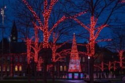 Twinkly Pro RGB Capsule Dual Line 125x2 LED With 4" Spacing On Green Wire -Christmas Lights Series 0027480 twinkly pro rgb capsule dual line 125x2 led with 4 spacing on green wire