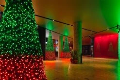 Twinkly Pro RGBW Capsule Single Line 250 LED With 4" Spacing On Green Wire -Christmas Lights Series 0027511 twinkly pro rgbw capsule single line 250 led with 4 spacing on green wire