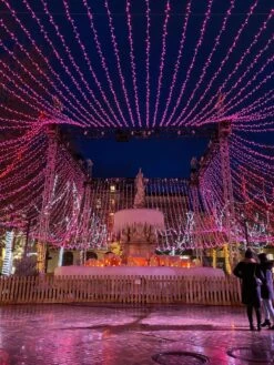 Twinkly Pro RGBW Capsule Single Line 250 LED With 4" Spacing On Transparent Wire -Christmas Lights Series 0027520 twinkly pro rgbw capsule single line 250 led with 4 spacing on transparent wire