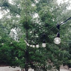 Pure White G50 U-Shaped LED Plastic Flex Filament Replacement Bulbs 25 Pack -Christmas Lights Series 0027814 pure white g50 u shaped led plastic flex filament replacement bulbs 25 pack