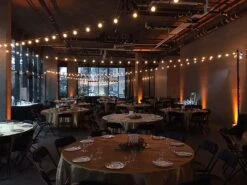 Warm White Satin G50 U-Shaped LED Plastic Flex Filament Replacement Bulbs 25 Pack -Christmas Lights Series 0027820 warm white satin g50 u shaped led plastic flex filament replacement bulbs 25 pack