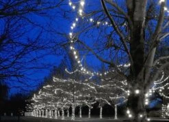 Commercial Grade Wide Angle 100 LED Pure White 50' Long On Green Wire -Christmas Lights Series 0028957 commercial grade wide angle 100 led pure white 50 long on green wire