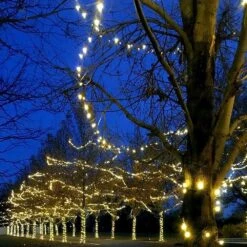 70 Light Traditional T5 Warm White LED Mini Lights Green Wire -Christmas Lights Series 0029164 70 light traditional t5 warm white led mini lights green wire