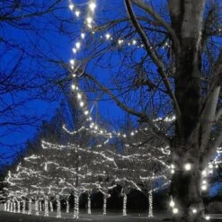 Commercial Grade Wide Angle 100 LED Pure White 34' Long On Green Wire -Christmas Lights Series 0029197 commercial grade wide angle 100 led pure white 34 long on green wire