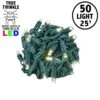 *NEW* True Twinkle LED Christmas Lights 50 LED Warm White 25' Long Green Wire