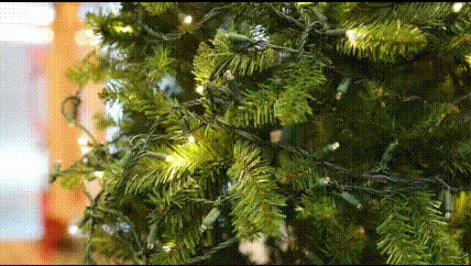 *NEW* True Twinkle LED Christmas Lights 50 LED Red 25' Long Green Wire 2 *NEW* True Twinkle LED Christmas Lights 50 LED Red 25' Long Green Wire - Image 2