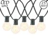 25 LED Filament G40 Globe String Light Set With Warm White Bulbs On Black Wire
