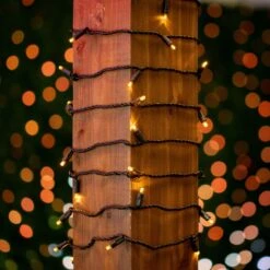 50 LED Warm White LED Christmas Lights 11' Long On Black Wire -Christmas Lights Series 0031202 50 led warm white led christmas lights 11 long on black wire