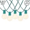 50 LED Filament G40 Globe String Light Set With Warm White Bulbs On Green Wire