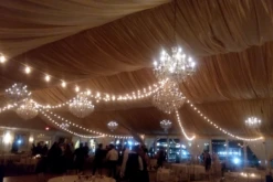 50 LED Filament G40 Globe String Light Set With Warm White Bulbs On White Wire -Christmas Lights Series 0031268 50 led filament g40 globe string light set with warm white bulbs on white wire