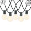 67 LED Filament G40 Globe String Light Set With Warm White Bulbs On Black Wire