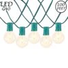 67 LED Filament G40 Globe String Light Set With Warm White Bulbs On Green Wire