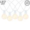 67 LED Filament G40 Globe String Light Set With Warm White Bulbs On White Wire