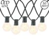 50 LED Filament G50 Globe String Light Set With Warm White Bulbs On Black Wire