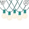 50 LED Filament G50 Globe String Light Set With Warm White Bulbs On Green Wire
