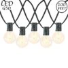 67 LED Filament G50 Globe String Light Set With Warm White Bulbs On Black Wire