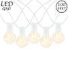67 LED Filament G50 Globe String Light Set With Warm White Bulbs On White Wire