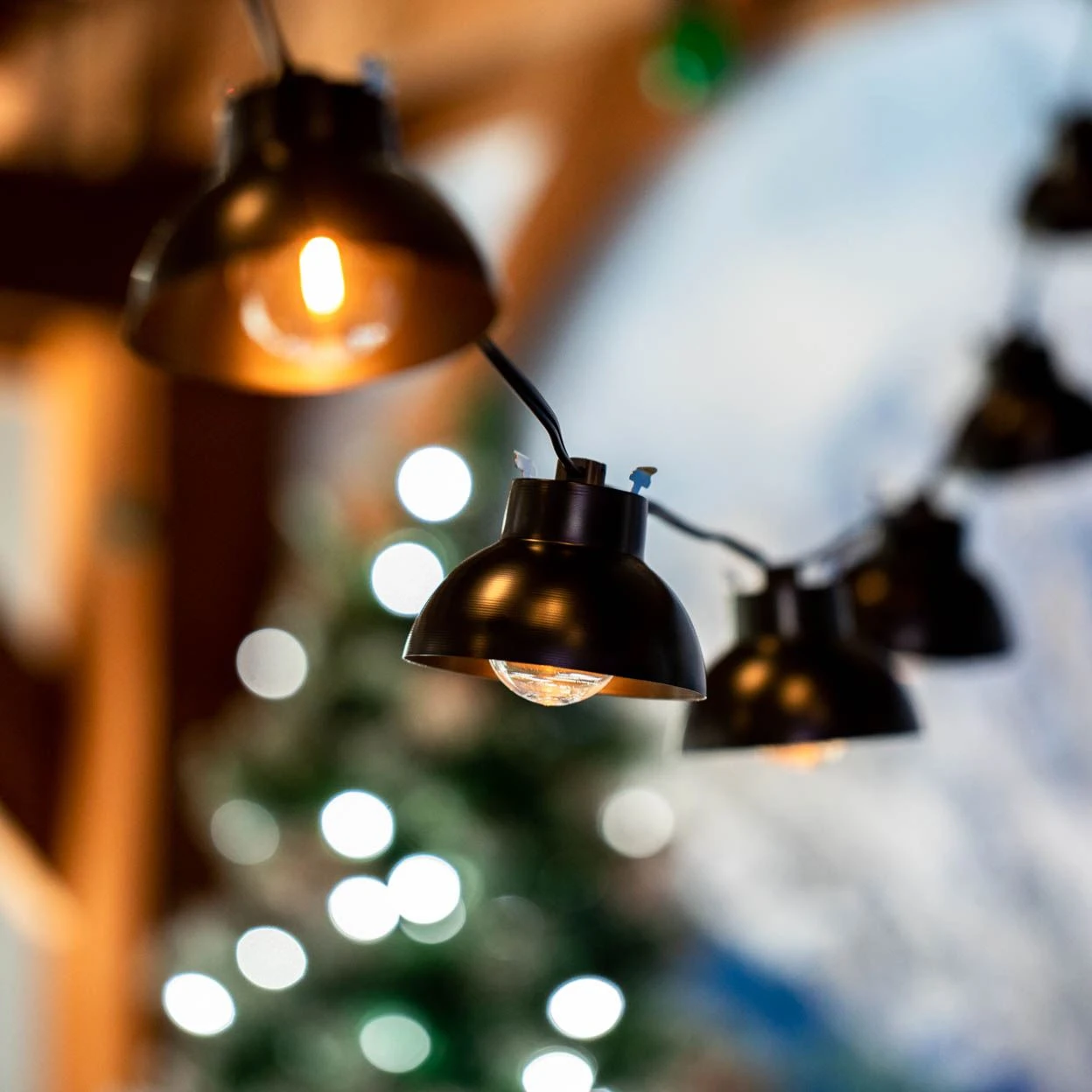 10 Bell Lampshade LED Filament G40 Globe String Light Set With Warm White Bulbs 5 10 Bell Lampshade LED Filament G40 Globe String Light Set With Warm White Bulbs - Image 5