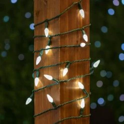 Pure White 70 LED C6 Strawberry Mini Lights Commercial Grade On Green Wire -Christmas Lights Series 0031677 pure white 70 led c6 strawberry mini lights commercial grade on green wire