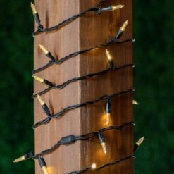 70 Light Traditional T5 Warm White LED Mini Lights Black Wire 13 70 Light Traditional T5 Warm White LED Mini Lights Black Wire -Christmas Lights Series 0031737 70 light traditional t5 warm white led mini lights black wire