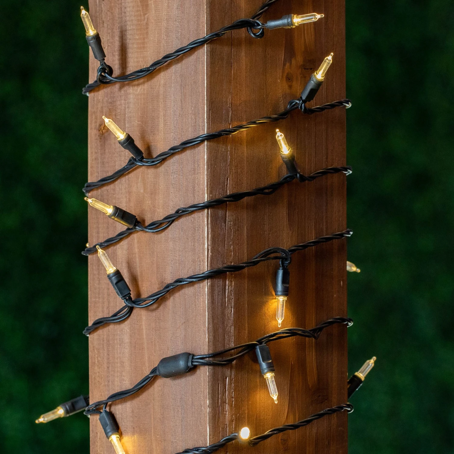 70 Light Traditional T5 Warm White LED Mini Lights Black Wire 7 70 Light Traditional T5 Warm White LED Mini Lights Black Wire - Image 7