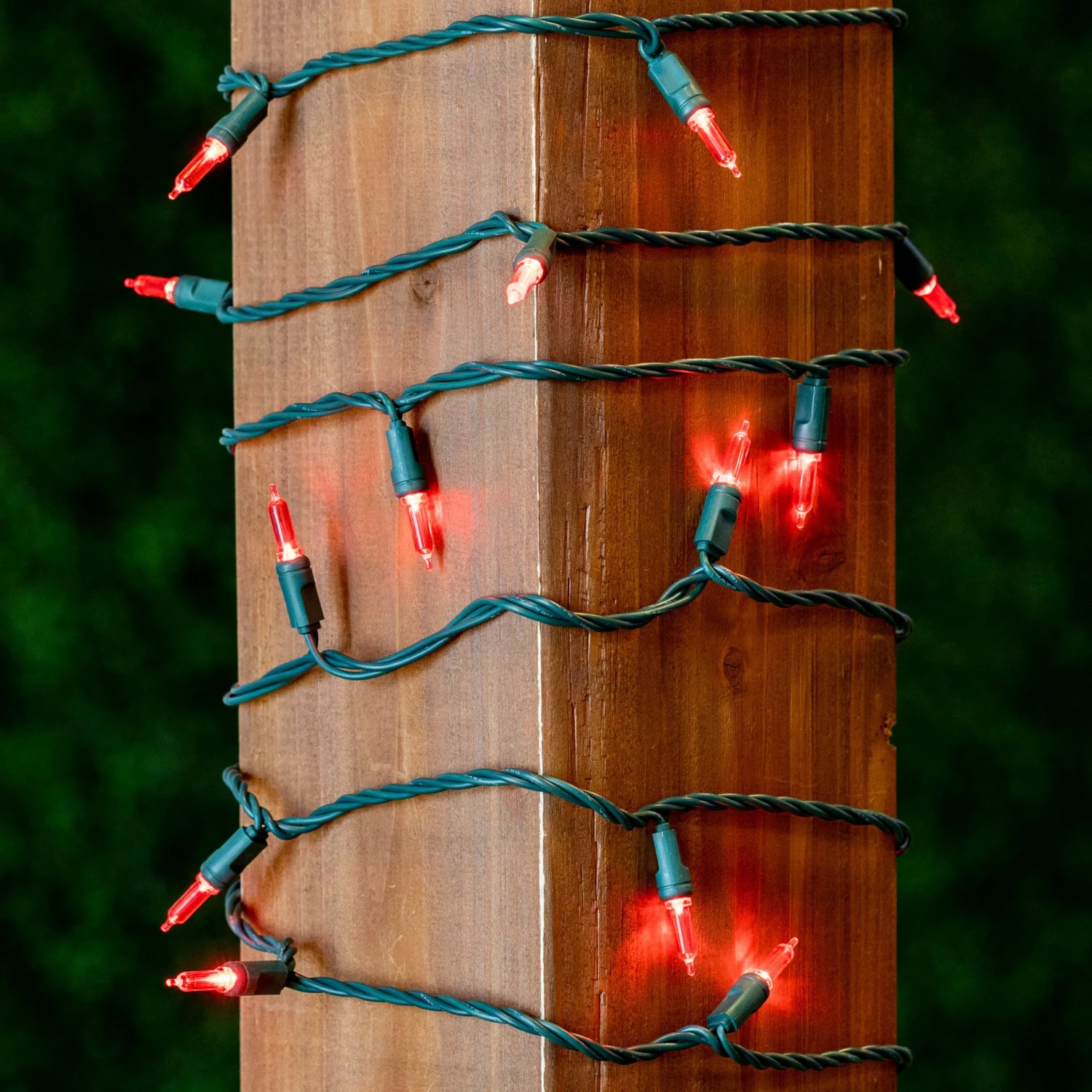 70 Light Traditional T5 Red LED Mini Lights Green Wire 7 70 Light Traditional T5 Red LED Mini Lights Green Wire - Image 7