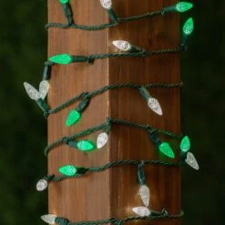 Green And White 70 LED C6 Strawberry Mini Lights Commercial Grade Green Wire -Christmas Lights Series 0031753 green and white 70 led c6 strawberry mini lights commercial grade green wire