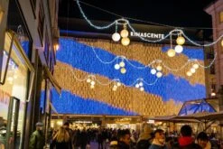 Twinkly Pro Icicle Lights RGB Capsule LEDs With 5" Drop Spacing & 4-6-8-7 Drop Scheme On Transparent Wire 8 Twinkly Pro Icicle Lights RGB Capsule LEDs With 5" Drop Spacing & 4-6-8-7 Drop Scheme On Transparent Wire -Christmas Lights Series 0031790 twinkly pro icicle lights rgb capsule leds with 5 drop spacing 4 6 8 7 drop scheme on transparent wi