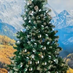 Pure White 100 LED C6 Strawberry Mini Lights Commercial Grade Green Wire 12 Pure White 100 LED C6 Strawberry Mini Lights Commercial Grade Green Wire -Christmas Lights Series 0031910 pure white 100 led c6 strawberry mini lights commercial grade green wire