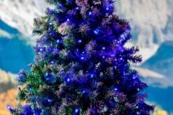 *NEW* True Twinkle LED Christmas Lights 50 LED Blue 25' Long Green Wire 16 *NEW* True Twinkle LED Christmas Lights 50 LED Blue 25' Long Green Wire -Christmas Lights Series 0031936 new true twinkle led christmas lights 50 led blue 25 long green wire