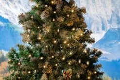 *NEW* True Twinkle LED Christmas Lights 50 LED Warm White 25' Long Green Wire -Christmas Lights Series 0031947 new true twinkle led christmas lights 50 led warm white 25 long green wire