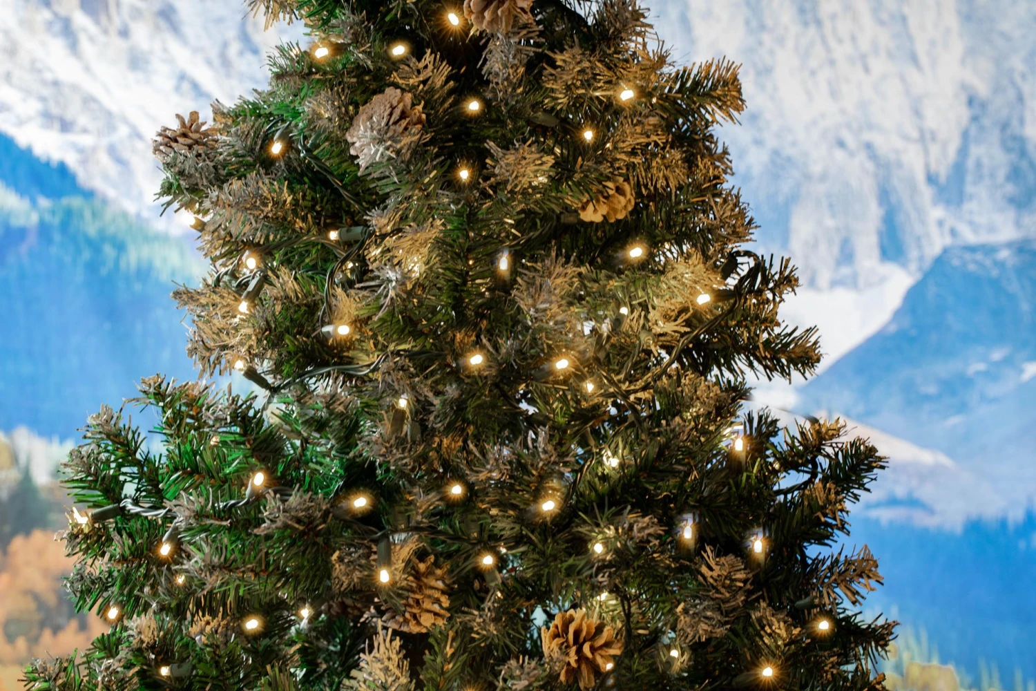 50 LED Warm White LED Christmas Lights 11' Long On Green Wire 10 50 LED Warm White LED Christmas Lights 11' Long On Green Wire - Image 10