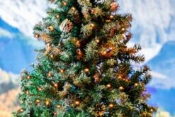 50 LED Orange (amber) LED Christmas Lights 11' Long On Green Wire -Christmas Lights Series 0031972 50 led orange amber led christmas lights 11 long on green wire