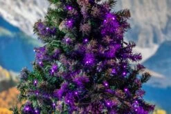 Commercial Grade Wide Angle 50 LED Purple 25' Long On Green Wire -Christmas Lights Series 0031997 commercial grade wide angle 50 led purple 25 long on green wire