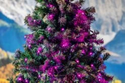 Commercial Grade Wide Angle 50 LED Pink 25' Long On Green Wire -Christmas Lights Series 0031998 commercial grade wide angle 50 led pink 25 long on green wire