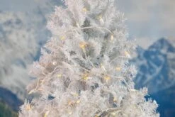 50 LED Yellow LED Christmas Lights 11' Long On White Wire -Christmas Lights Series 0032256 50 led yellow led christmas lights 11 long on white wire