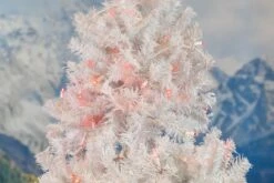 50 LED Red LED Christmas Lights 11' Long On White Wire -Christmas Lights Series 0032257 50 led red led christmas lights 11 long on white wire