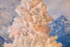 50 LED Amber LED Christmas Lights 11' Long On White Wire -Christmas Lights Series 0032263 50 led amber led christmas lights 11 long on white wire