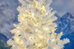 Commercial Grade Wide Angle 100 LED Warm White 34' Long White Wire -Christmas Lights Series 0032279 commercial grade wide angle 100 led warm white 34 long white wire