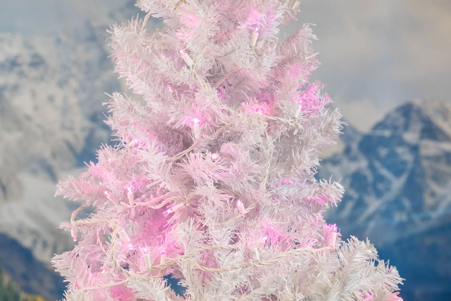 Commercial Grade Wide Angle 50 LED Pink 25' Long White Wire 8 Commercial Grade Wide Angle 50 LED Pink 25' Long White Wire - Image 8